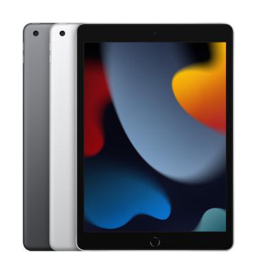 iPad Wi-Fi 256GB - Space Gray