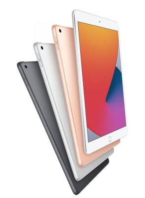 iPad Wi-Fi + Cellular 256GB - Silver